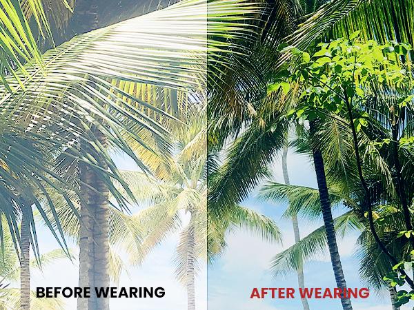 3 Pairs Aviator KALIYADI Vintage Retro Sunglasses for Men Women Driving Sun glasses Polarized Lens UV Blocking (S24) Classic Shades 3 Pairs Aviator KALIYADI Vintage Retro Sunglasses for Men Women Driving Sun glasses Polarized Lens UV Blocking (S24) Classic Shades