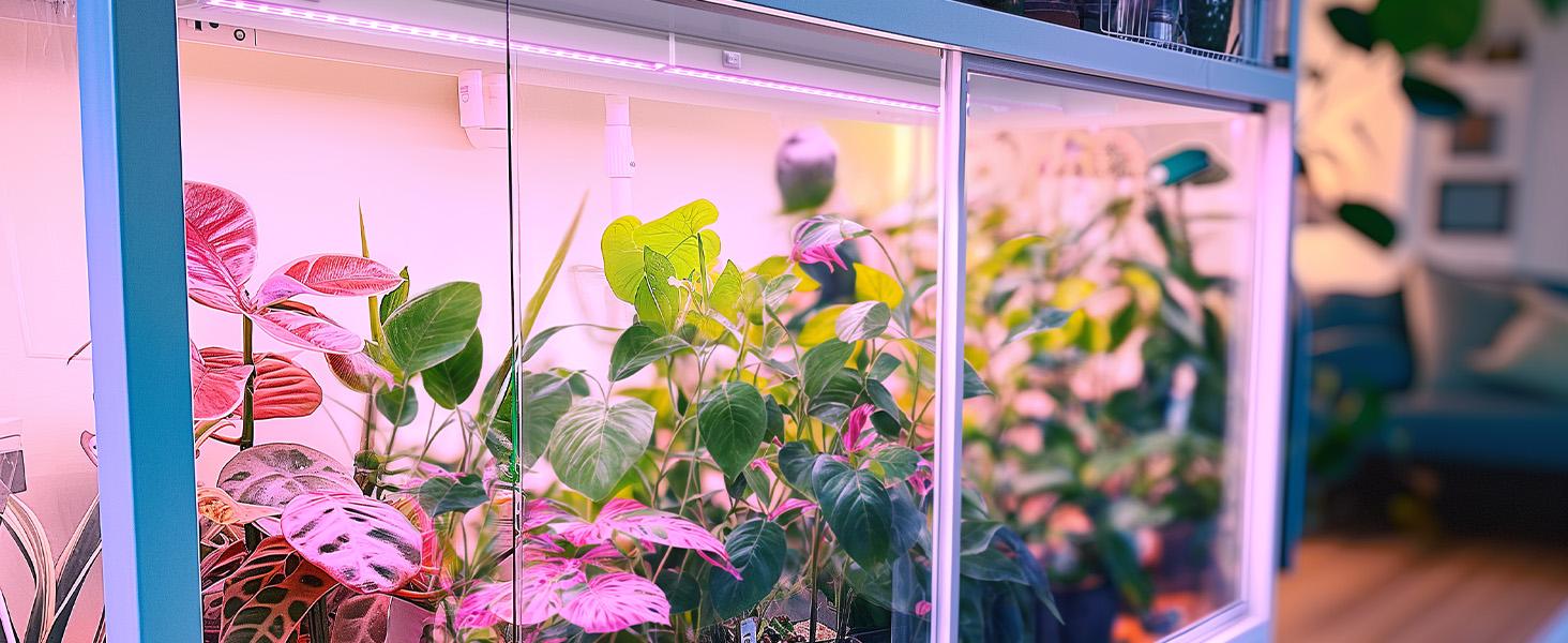 Barrina T5 Grow Light, 1FT, Pinkish White Full Spectrum, Plant Growing Lamp, LED Grow Light Bulbs Plug and Play, 4 Packs