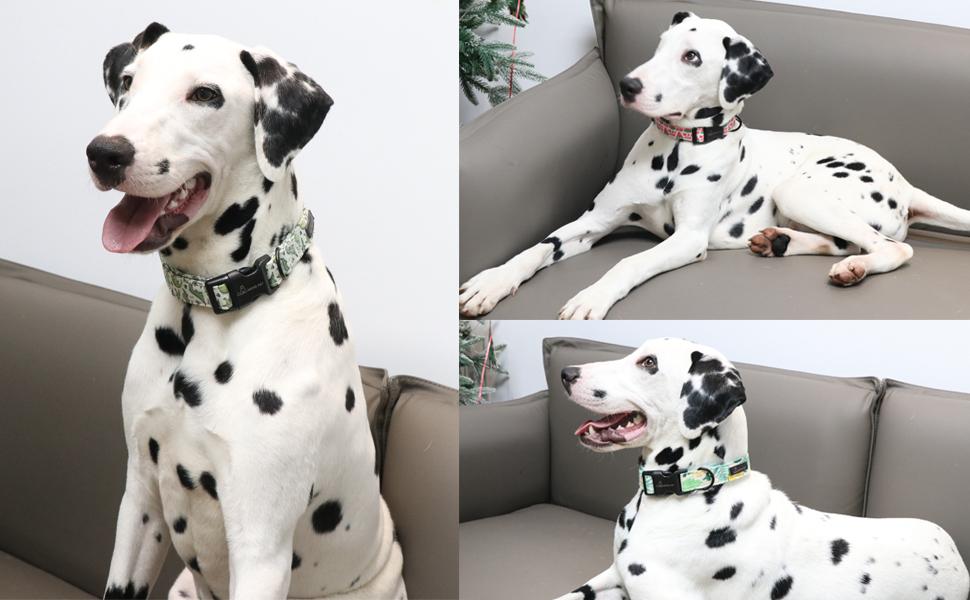 ARING PET Dinosaur Dog Collar-Cute Dog Collar for Small Dogs, Adjustable Comfortable Cotton Boy Dog Collars for Small Medium Large Dogs, Small