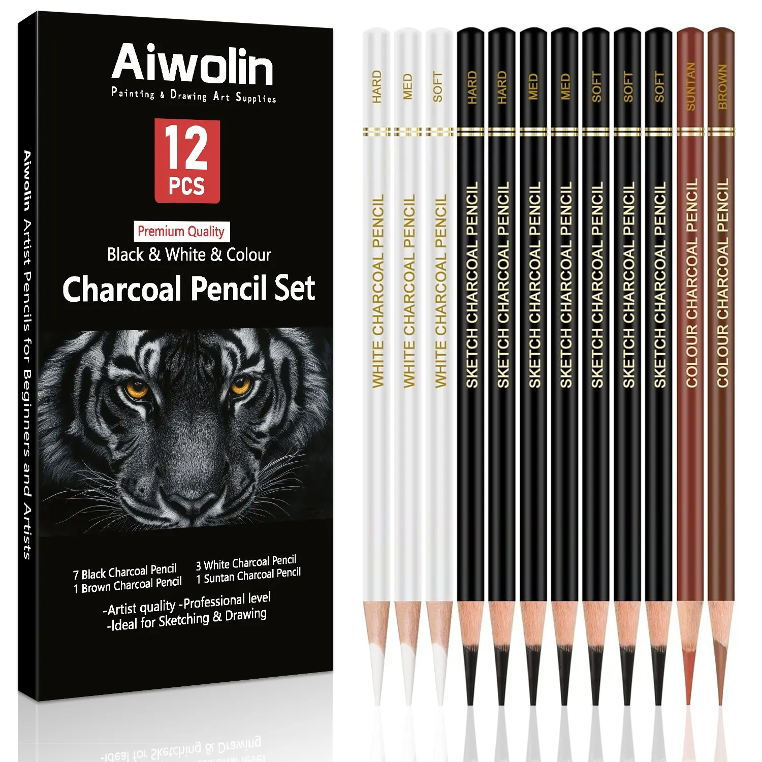 Professional Colored Charcoal Pencils Drawing Set,12 Pieces Pastel Chalk Pencils for Sketching,Shading,Blending,Portrait,Black White Charcoal Pencils for Artists,for professional artistic use