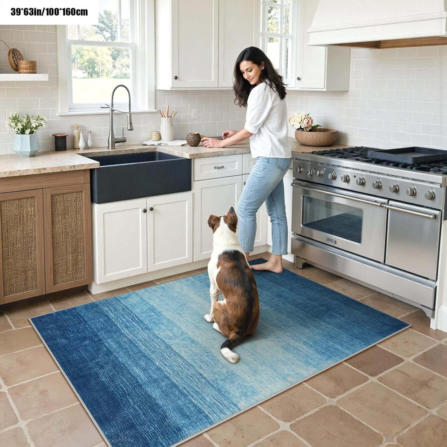 Gradient Blue Pattern Rug, Indoor Outdoor Easy Clean Soft Durable Rug, Ideal for Living Room Bedroom Dining Hallway Entrance, Perfect Home Decor and Valentine's Day Decoration, Decorative Rug, Patio Rug