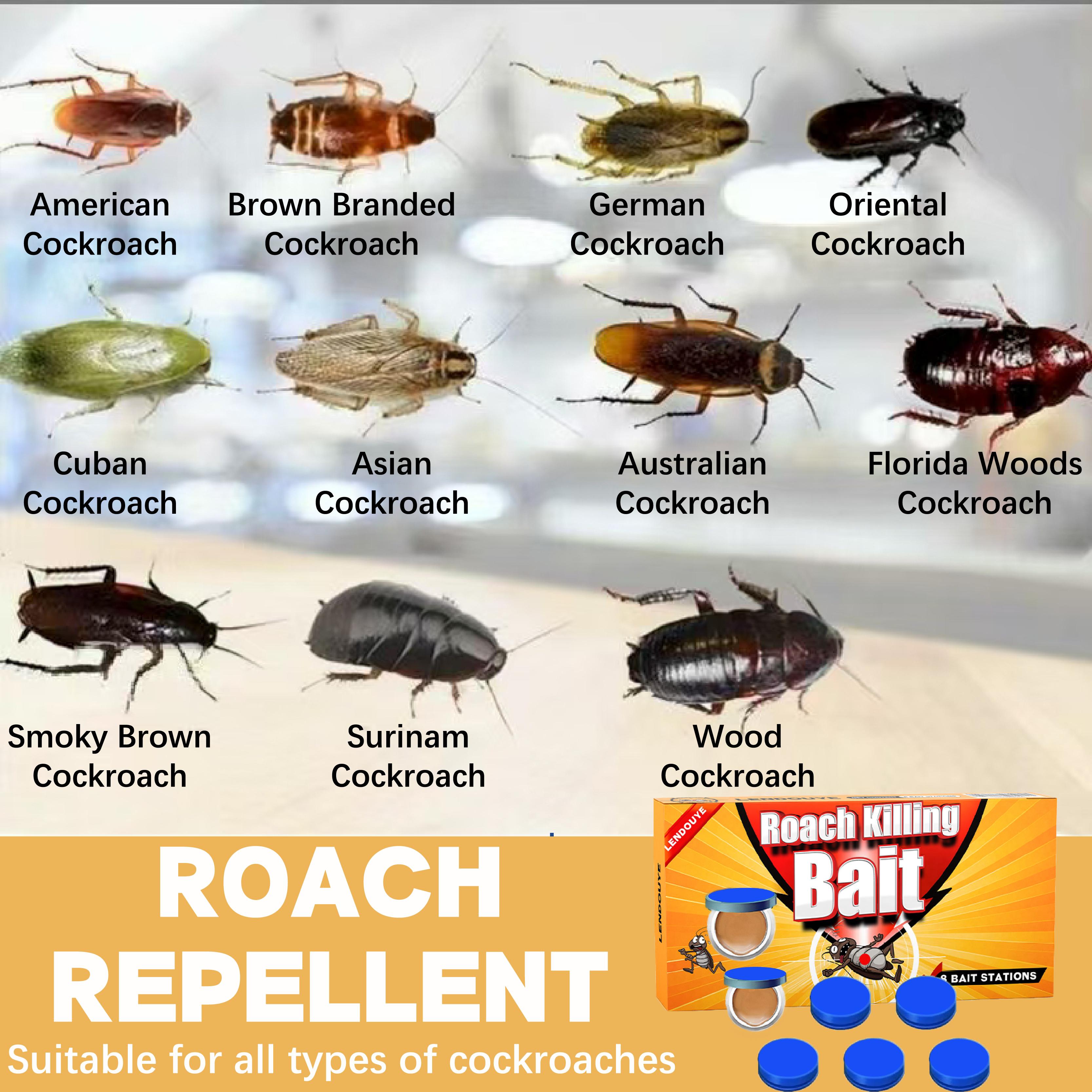 LENDOUYE Roach killer indoor infestation,Roach Repellent,Roach Traps indoor,Roach Killer,Roach Bait Station,Roach Killer Gel for American, German and Other Major Cockroach Species Fast-Action Waterproof Roach Gel BD