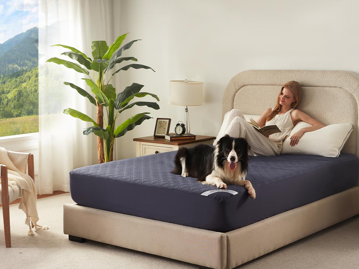 【BEDLORE】Waterproof Mattress Protector with Fitted Sheet, TPU Waterproof Layer, Soft & Breathable Bed Cover for Everyday Mattress Protection, Ideal for Bedroom & Home Use