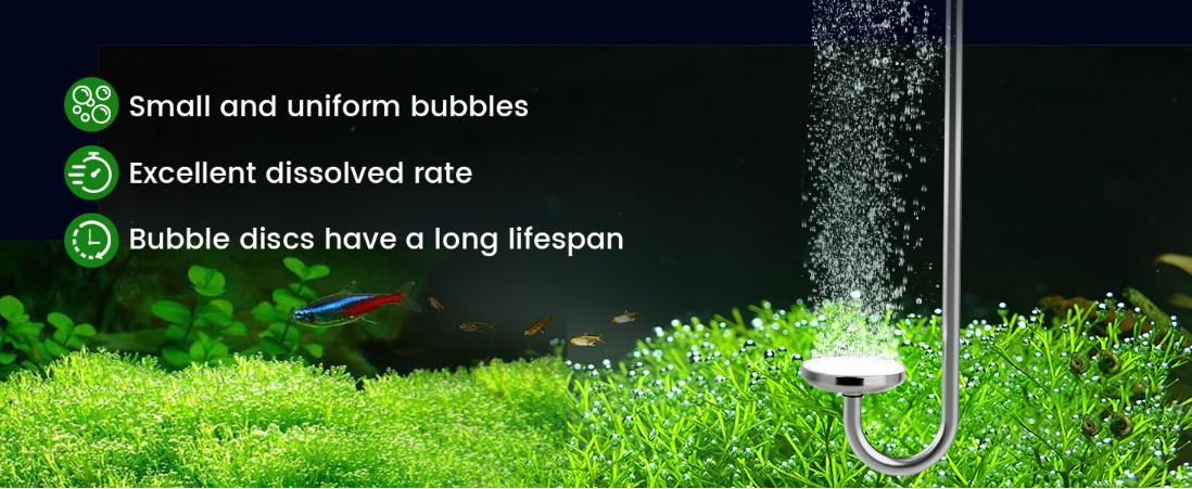 Stainless Steel CO2 Difusser Atomizer Used for Aquarium Plants,Water Grass Tank,Fine and Uniform Bubbles, Durable and Not Easy to Rust Stainless Steel CO2 Difusser Atomizer Used for Aquarium Plants,Water Grass Tank,Fine and Uniform Bubbles, Durable and Not Easy to Rust