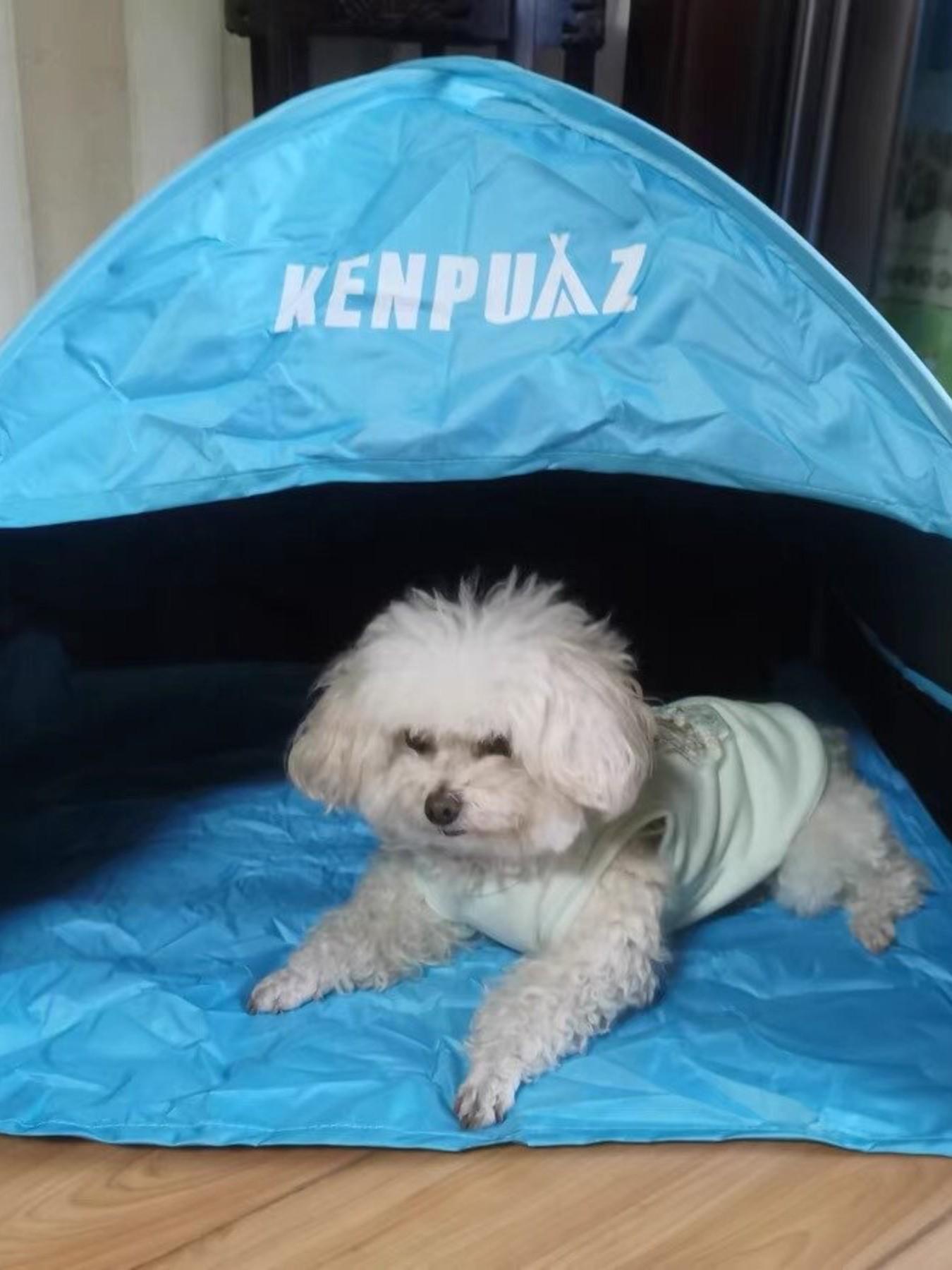 Indoor Windproof Sunshade Tent, Small Sleeping Tent for Beach Outdoor Use, Dedicated Sun Protection Gear, Perfect for Back Exposure