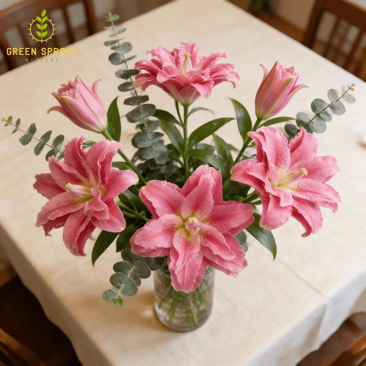 Pink lily bulbs - sweet double flowers for gardens and flower arrangements | easy to grow perennial bulbs | attract hummingbirds | perfect for home gardens and patios