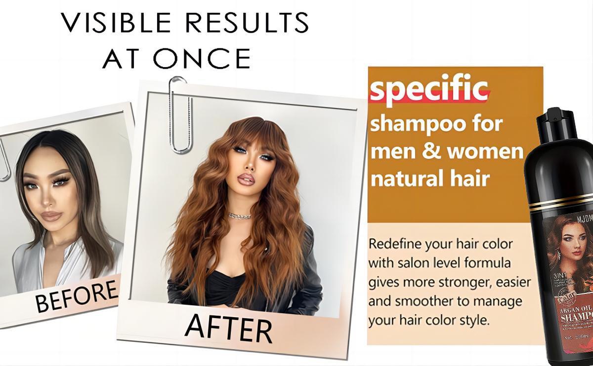 500 ml Healthy Botanical 3 In 1 Argan Oil Hair Color Cream Color Hair Dye Shampoo Light Brown Care Wash Color Black,Long-Lasting & Natural-Looking Vibrant Color,Easy To Use,Champu Para Canas,Para El Cabello Haircare