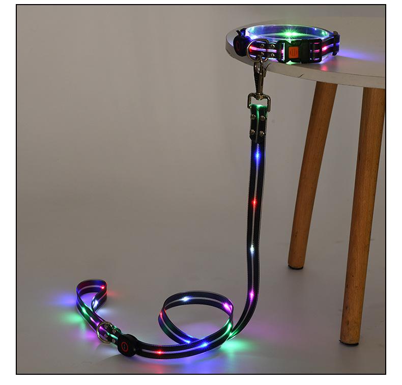 【Pet Essential】USB rechargeable luminous leather belt LED flashing collar with adjustable brightness, extremely cool. christmas  collar ball toy Adjustable LED harness