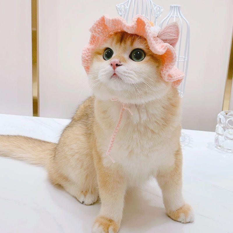 Cute Pet Hat for Cats and Dogs, Adorable Cat Hat, Fun Dog Hat, Perfect Accessory for Your Furry Friend, Stylish and Comfortable Clothing