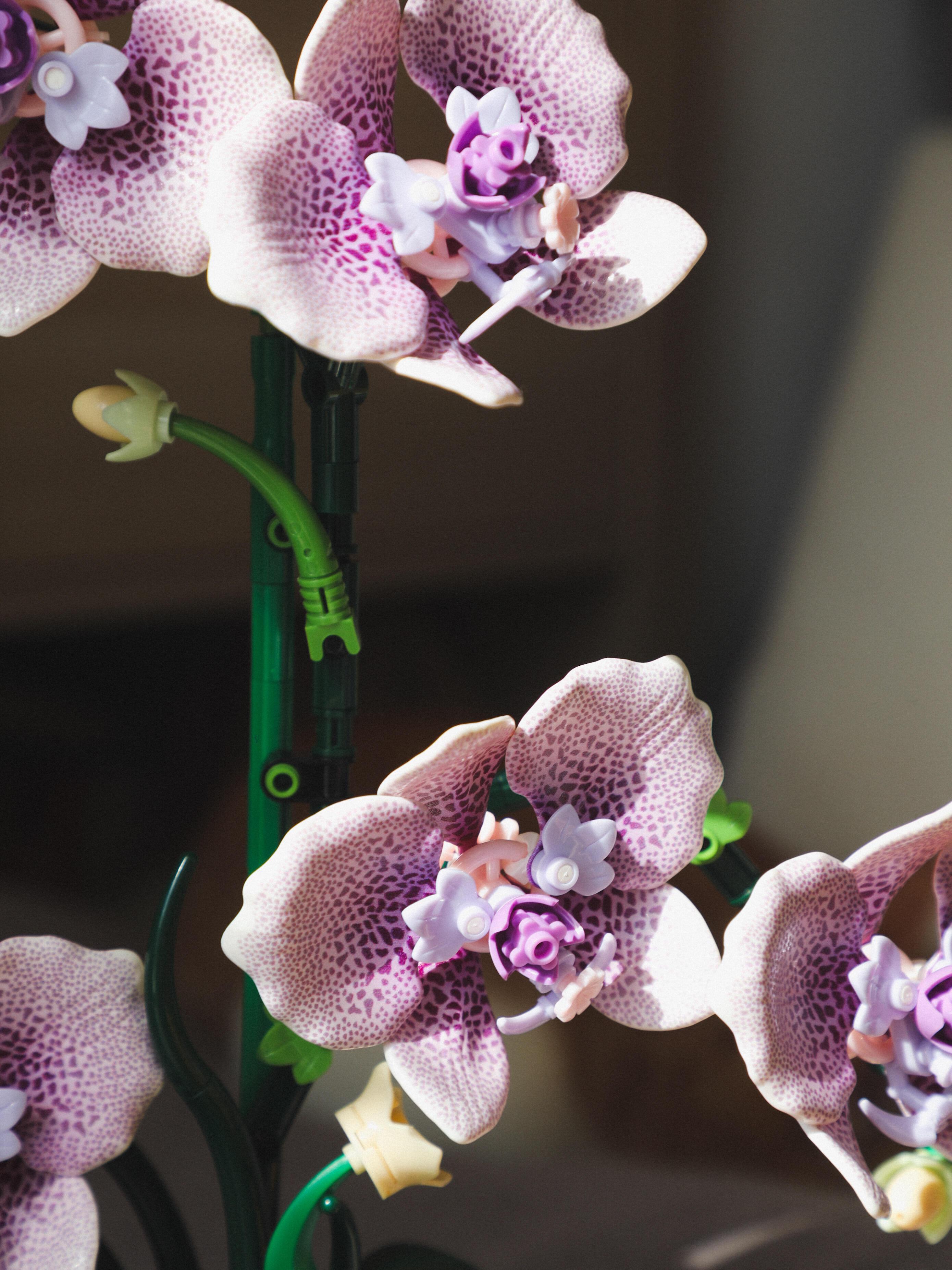 619pcs Orchid Building Block Set, Flexible Petal Joints Adjustable Angles, DIY Orchid Plant Kit, Adult Version, Home Decor Gift