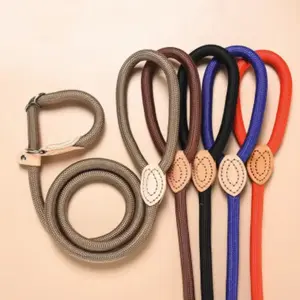 1 PC Heavy Duty Braided Dog Slip Lead Leash, Adjustable Loop Collar No Pull Training Leash, Strong Durable Rope Lead for Small Medium Dogs Walking Obedience Training