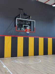 TXJ Basketball hoop