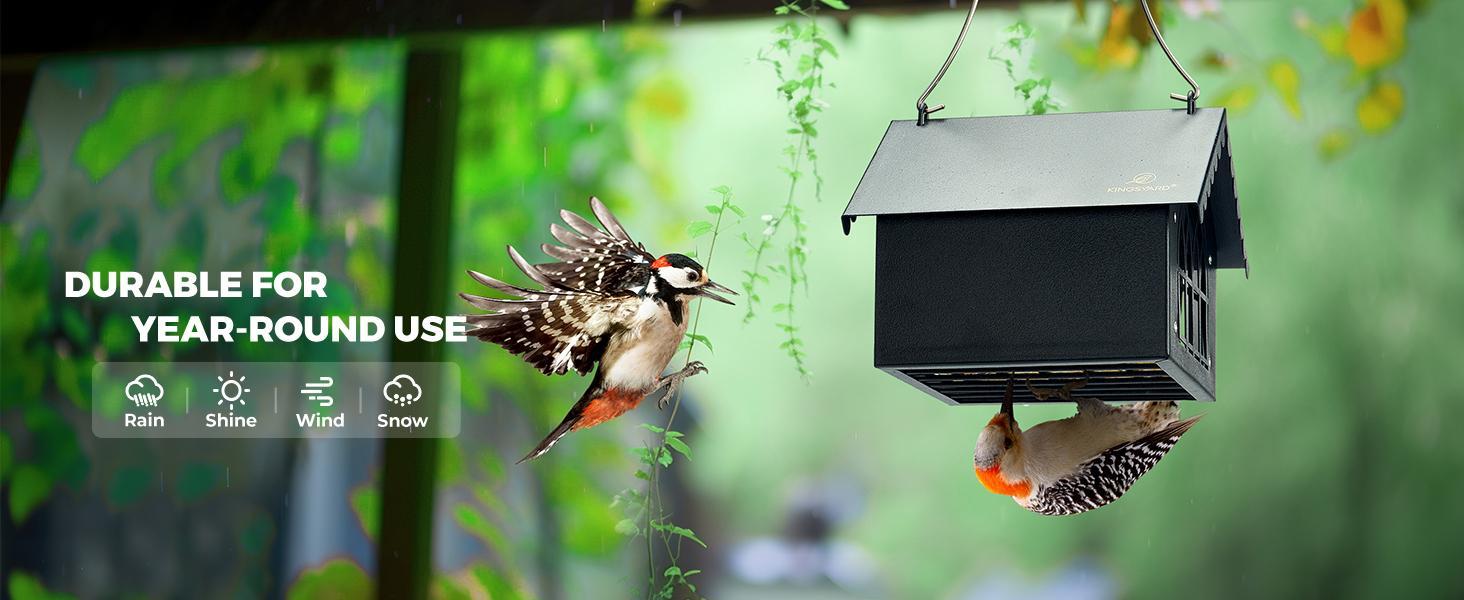 Double Upside Down All Metal Suet Feeder with Weatherproof Roof, for Outdoors Hanging, Great for Downy Woodpecker, Nuthatch, Chickadee, Black