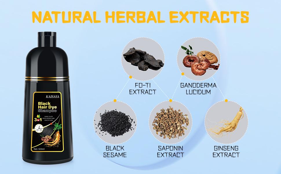 KAISASA Black Hair Dye Shampoo 3 in 1 - Can cover gray hairs, Herbal Ingredients, Contains Ginseng Extract, Natural Haircoloring, Plant Haircare