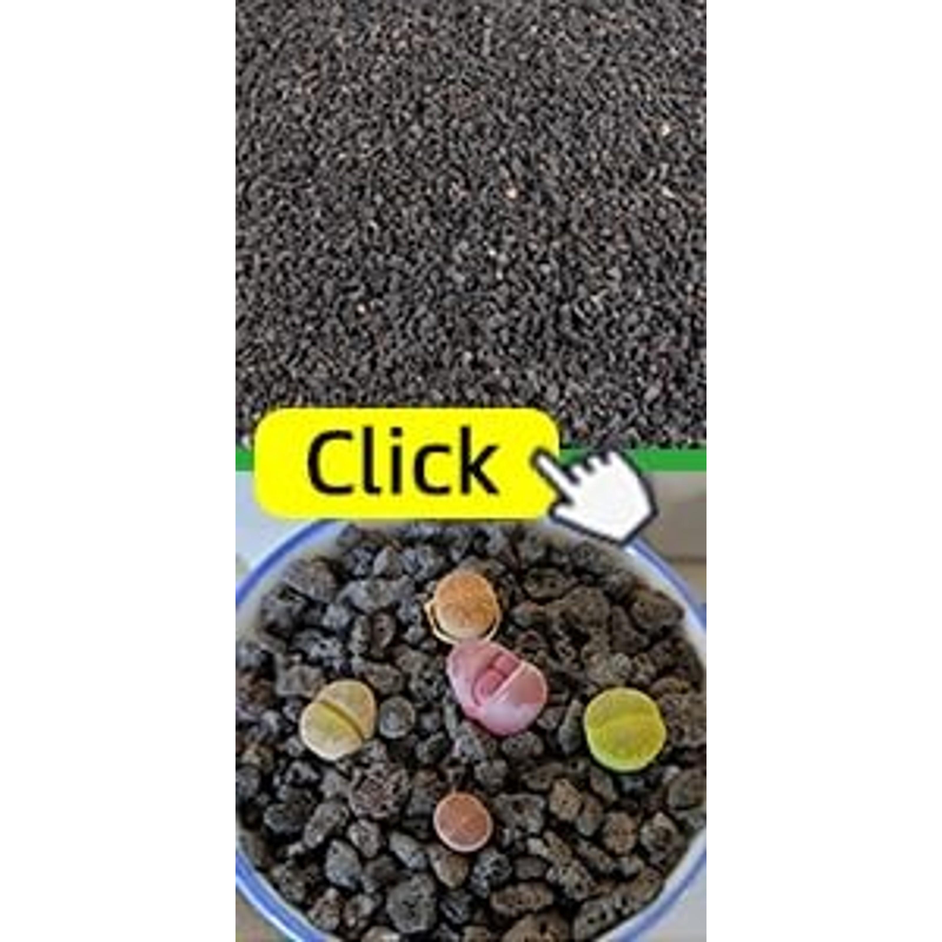 6-Pack Premium Organic Coco Coir Bricks - 100% Natural Coconut Husk Fiber, Planting & Gardening Potting Soil Substrate, Outdoor Garden Decor, Brick Pack