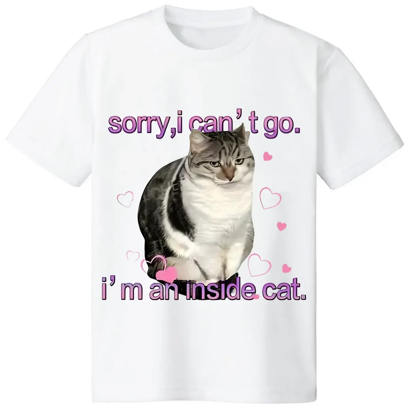 I'm an Inside Cat Y2k Funny Tee for Men and Women, Unhinged Graphic Tees, Funny Sweatshirt Exchange
