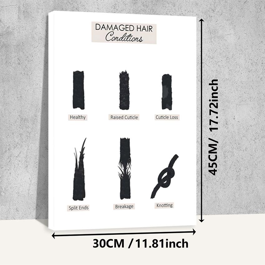 Hair type guide canvas art, wooden framed wall decoration, featuring hair growth cycle charts, damaged hair condition charts, hair anatomy diagrams, and curly hair charts, suitable for hair salon decoration.