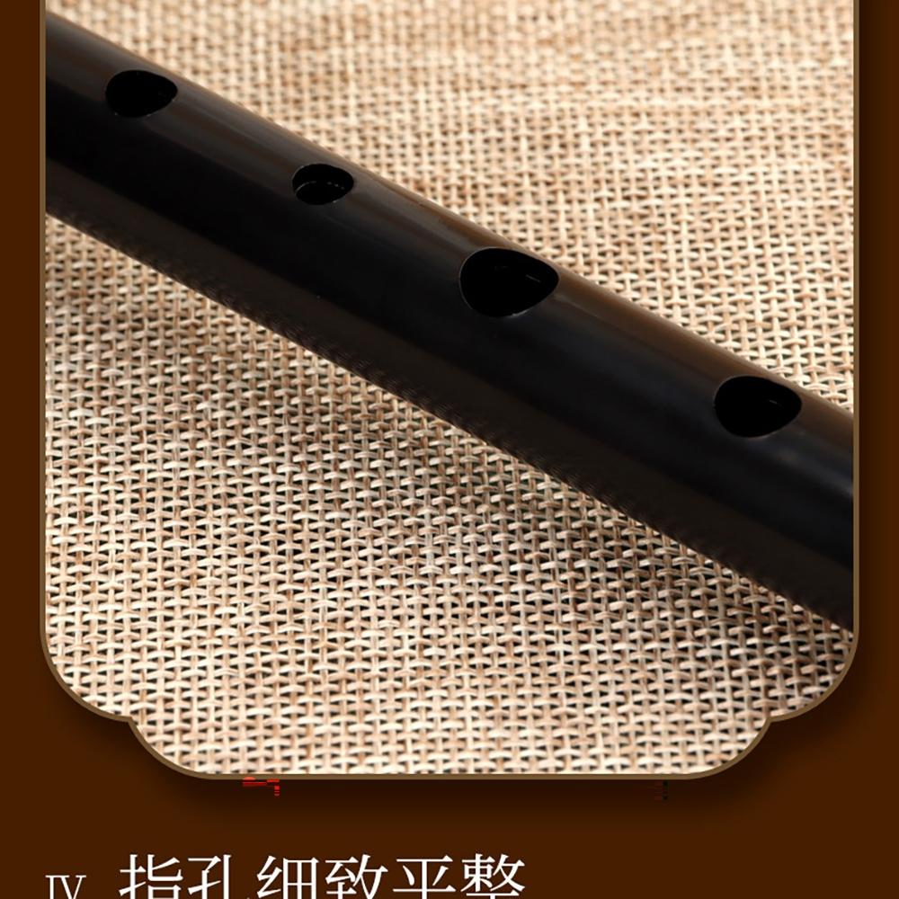 Schwinger 6 Hole Recorder Key D Resin, Portable Non-Toxic Flute Recorder for Beginners, Ideal for Kids Music Learning