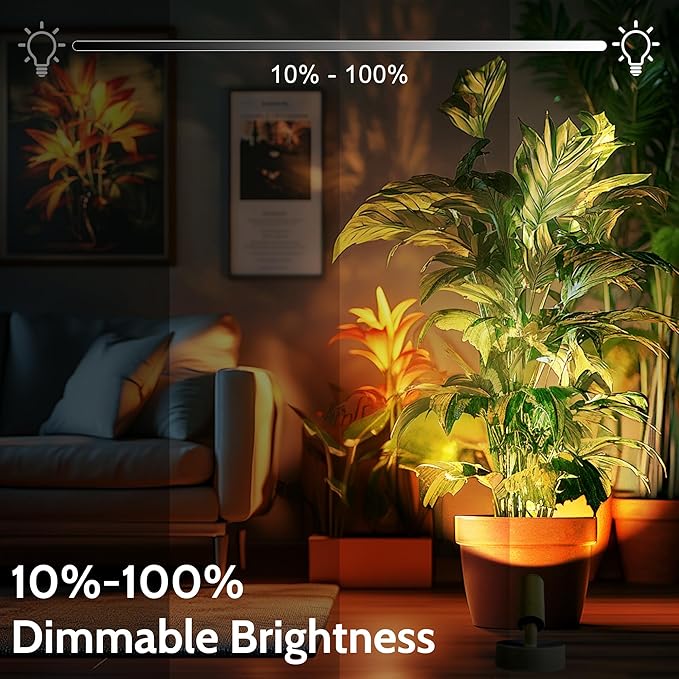 2 Pack Wireless Spot lights Indoor, Rechargeable Uplighting Indoor with Timer＆Dimmable, 3CCT Tree Lights Indoor Battery Operated, LED Spotlight Accent Up lights Indoor for Plant, Artwork, Plant -White