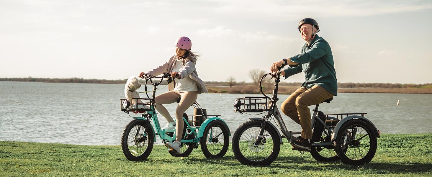 MOONCOOL TK1 Folding Electric Tricycle with Rack Bags , 750W Motor 48V Foldable Ebike Electric Trike for Adults, 20" Fat Tire 3 Wheel Electric Bicycle with Front & Rear Baskets