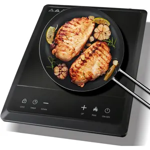 1700W Portable Induction Cooktop,Electric Induction Cooker and Burner,Countertop Hot Plate with 10-Level Adjustment,3-Hour Timer,Smart Touch Cooktop,and Safety Lock Feature,Black