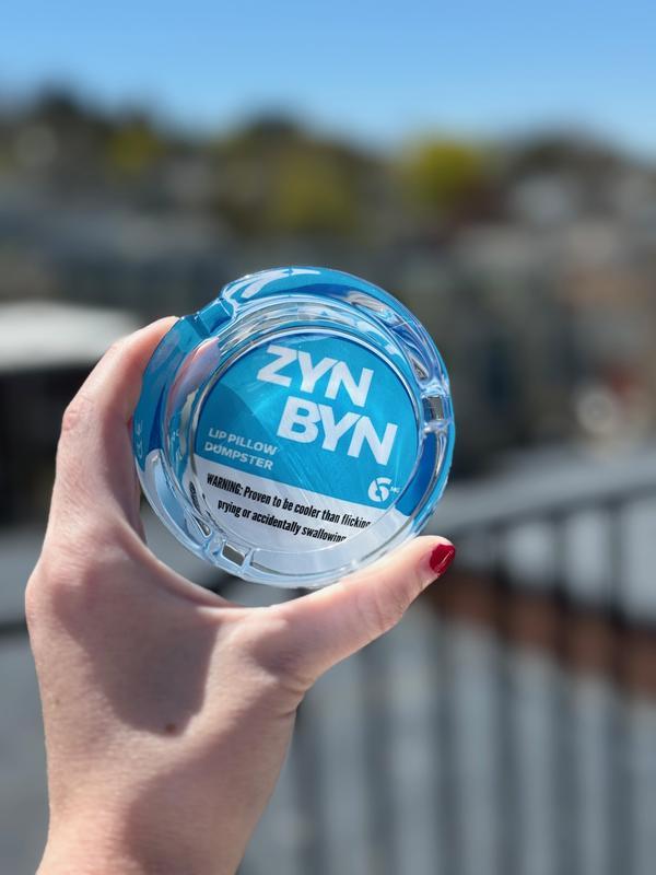 The ZynByn Lip Pillow Dumpster - The Perfect Gift for Him or Her to Clean up in Style!