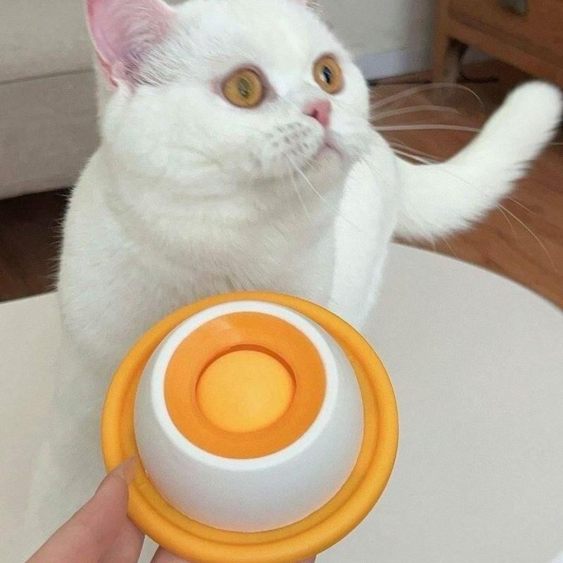 🐾 Promote Healthy Digestion | 1 Pc Pet Slow Feeder Plate | Interactive Dog Cat Snack Bowl