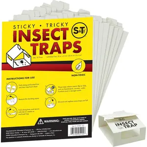 Insect Traps, 30 Count, Glue Traps for Brown Recluse, Hobo Spiders, Black Widows, Use in Home, Basement or Garage, or Utility Rooms for Pest Control