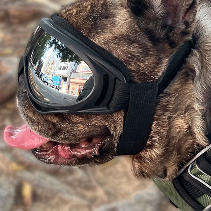 Adjustable Dog Goggles for Medium to Large Dogs, Outdoor Travel Eye Protection, Comfortable Pet Eyewear for Safe Adventures