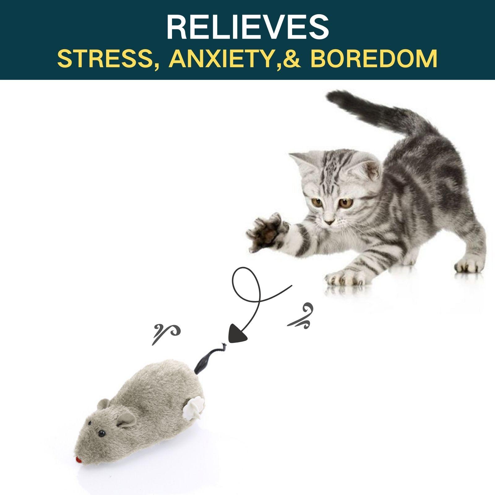 1pc Interactive Cat Toy Mouse, Plush Toy - Durable Plastic, No Batteries Needed, Suitable for Medium Breeds, Fun Cat Toy | Interactive Mouse Toy, Indoor Cat Interactive Toy, Hot Selling in Worldwide, Kittens