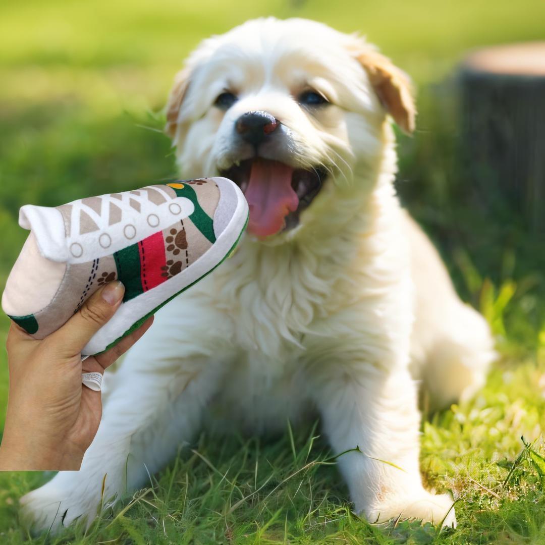 Luxury Designer Pet Toy Shoes Style, Dog Play Toy, Sports Shoe Shape Dog Toy, Stylish and Fun Pet Accessory