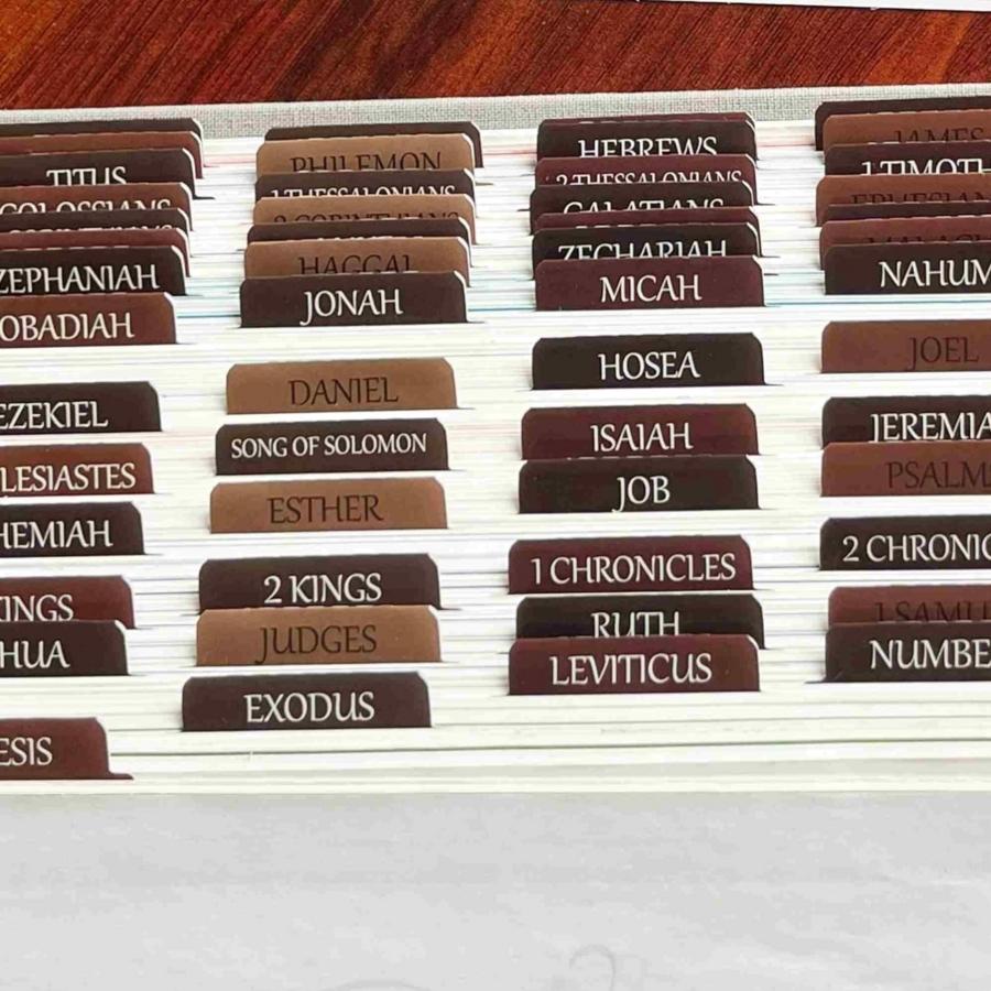 80pcs Thinkor Reposition Laminated Bible Tabs, Adhesive Tabs, Large Print Book Reading Stickers, Book Accessories, Easy to Read and Apply, Earthy, for Men and Women