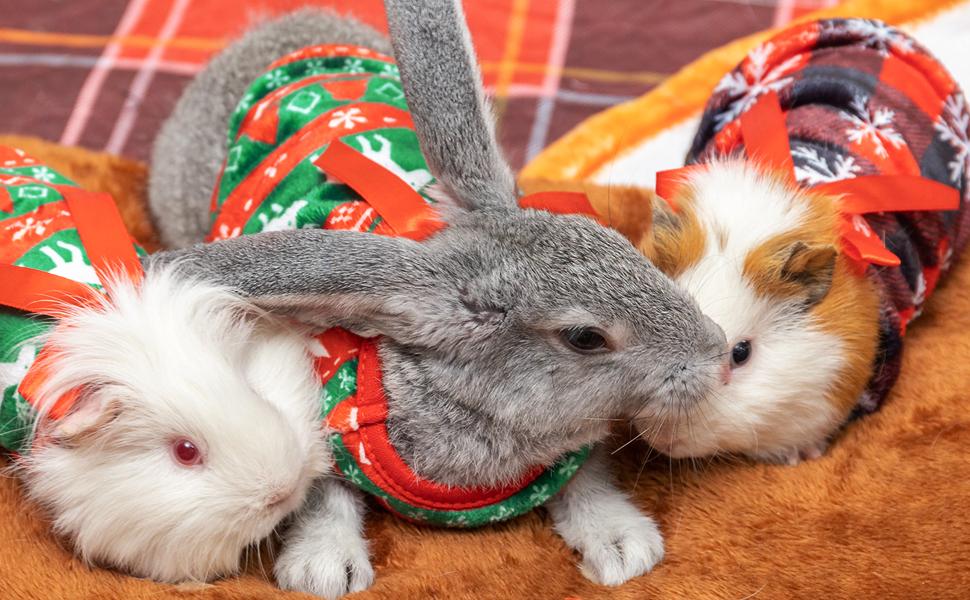 Guinea Pig Clothes - 2 Pack Christmas Warm Vest Pet Costume for Guinea Pigs Rabbit Bunny Ferret Chinchilla Kitten Puppy Small Animals - Cute Plaid Cozy Fleece Pet Shirts for Winter Holidays PLUSH CHRISTMAS GUINEA PIG VES