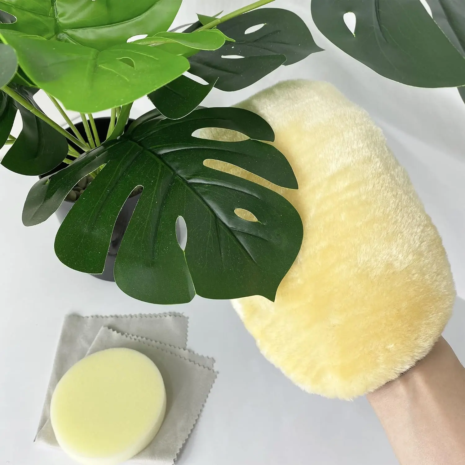 House  Leaf Cleaner - 3in1 Leaf Shine Set Microfiber Gloves for Indoor  Dusting