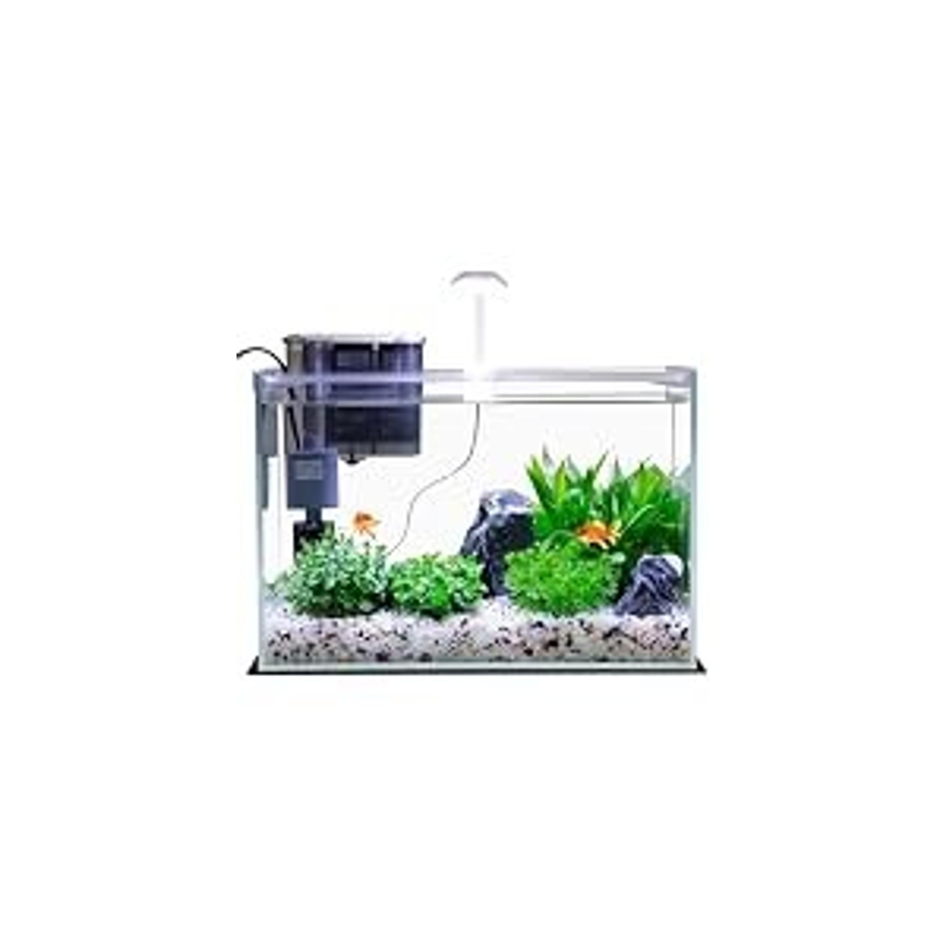 3 Gallon Glass Small Fish Tank, Betta Fish Tank Starter Kit with Filter, Lights,Lid.