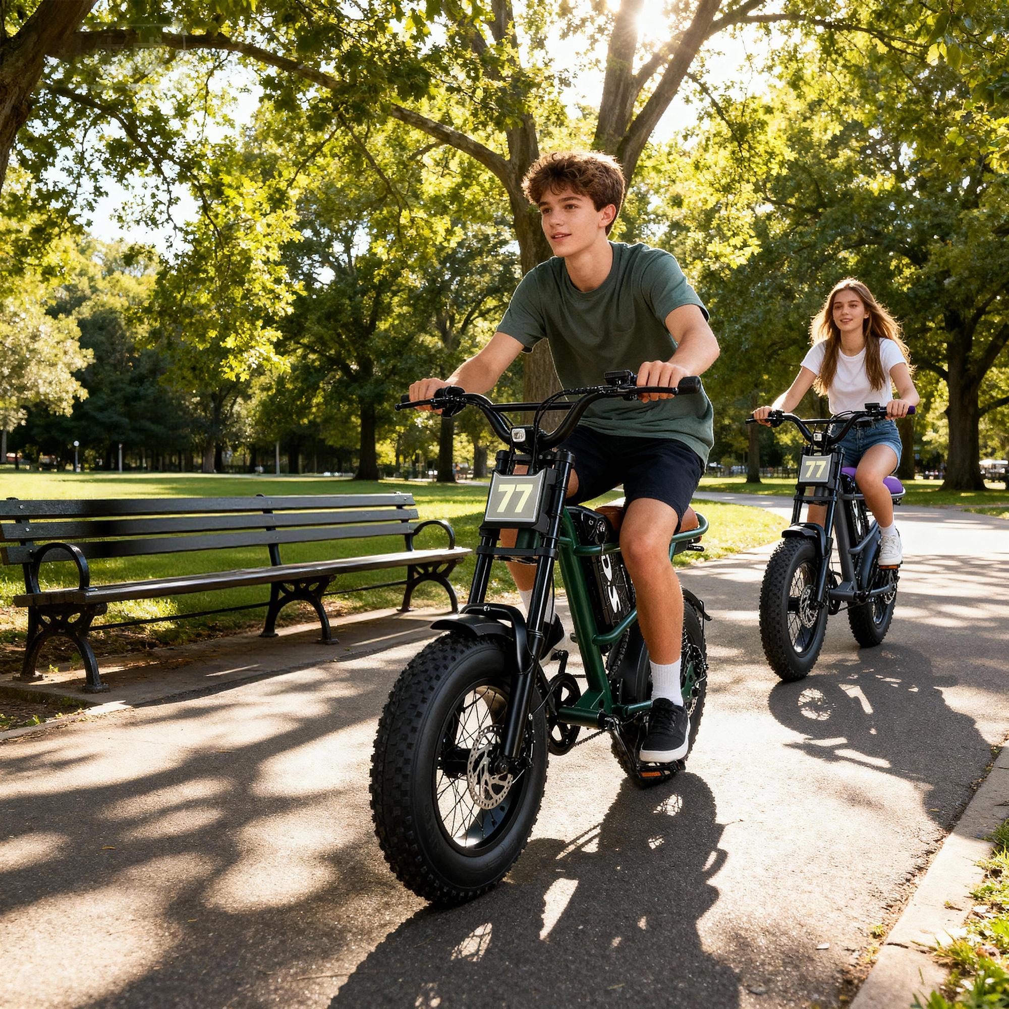 Electric Bike,Equipped withHigh Carbon Steel Frame, Full SuspensionSystem,28mph Top Speed,48V 1000W, PedalAssist Range of 30-70 Miles,16-lnch All-TerrainTires,Off-Road Motorcycle. Ebike cool and stylish