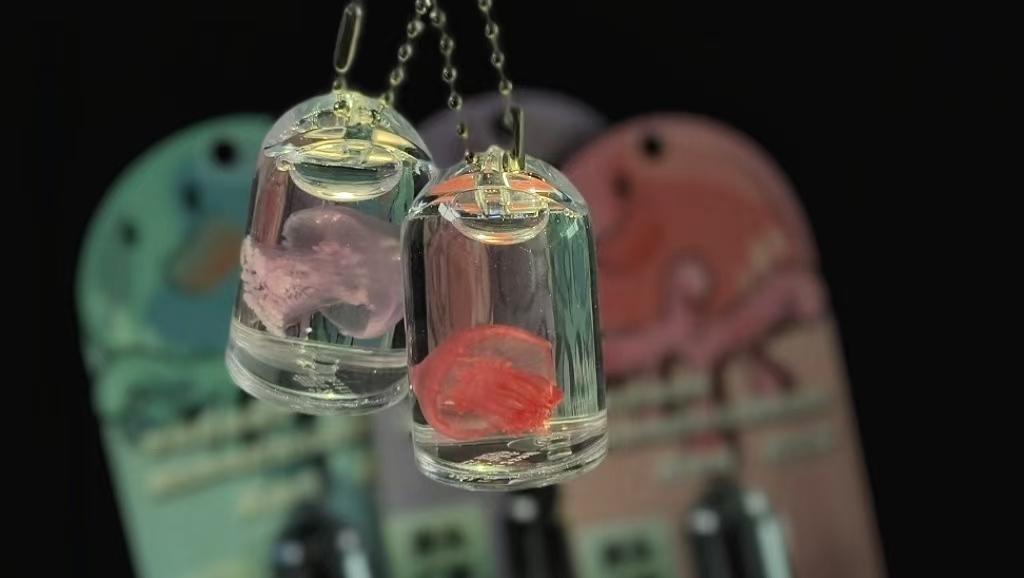 Cute Jelly Keychain