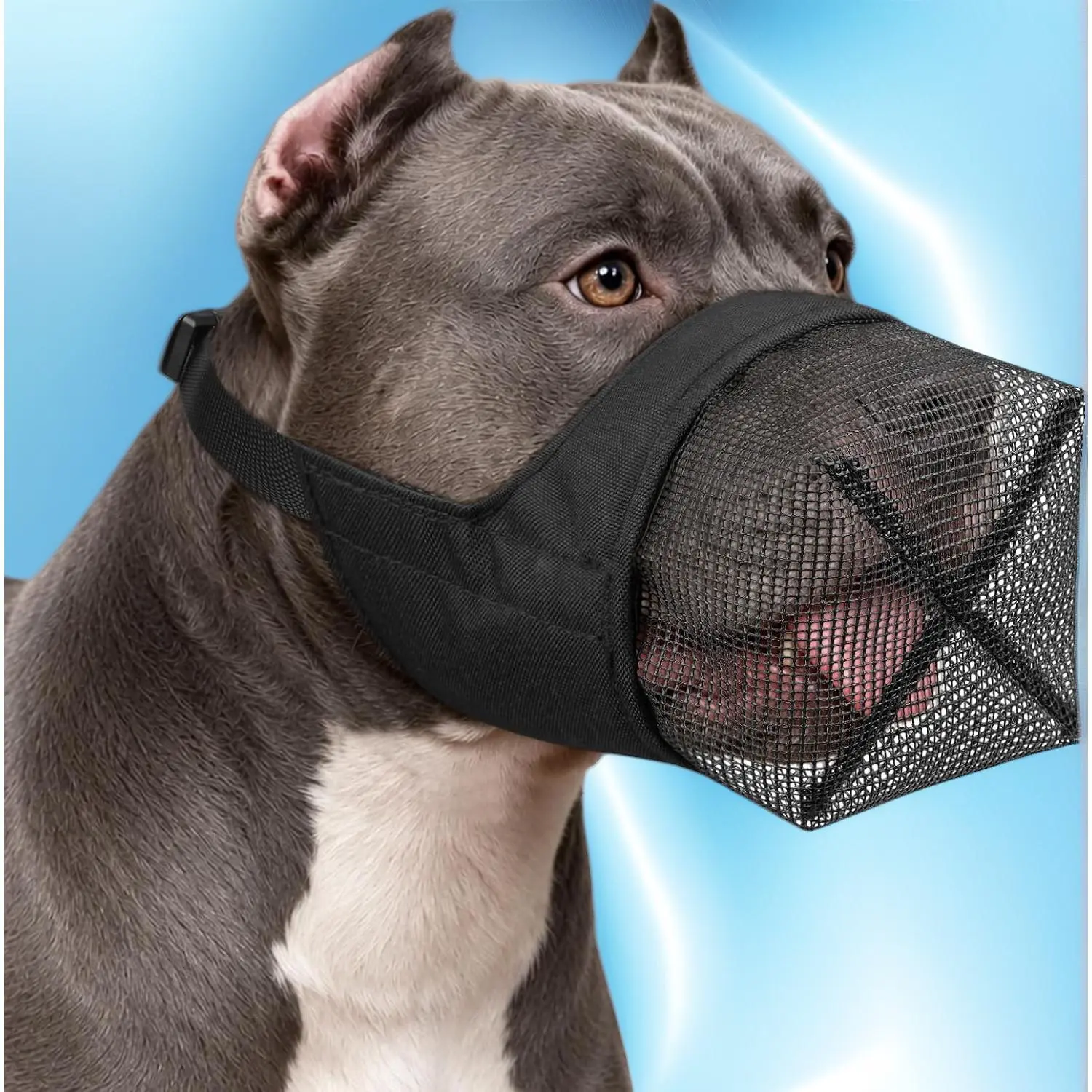 Full Coverage Dog Muzzle for Pitbull Bully Rottweiler Medium Large Breed Dogs