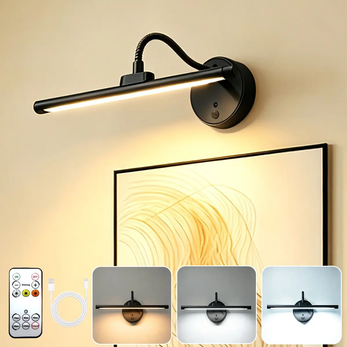 Remote Control Picture Light, USB Rechargeable Wall Lamp, Adjustable Lighting, Timer, Metal Art Lamp for Painting, Display, Gallery