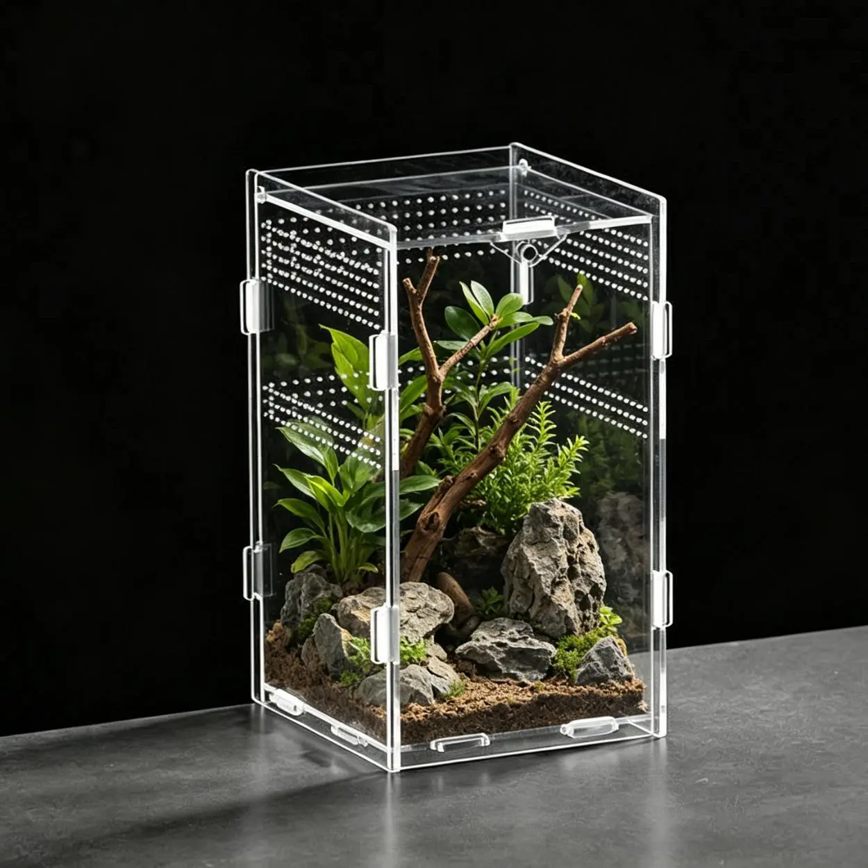 Acrylic Reptile Enclosure - Transparent, Ventilated Habitat with Locking Lid for Small Turtles, Frogs (Sports & Outdoor, Camping & Hiking, Camp Kitchen)
