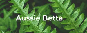 Aussie betta clean beauty