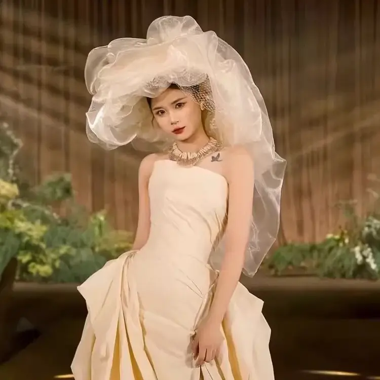 Exquisite wedding veil; champagne organza and birdcage netting bridal headpiece; luxurious Baroque-style floral embellishments; avant-garde hair accessory for photographic styling.