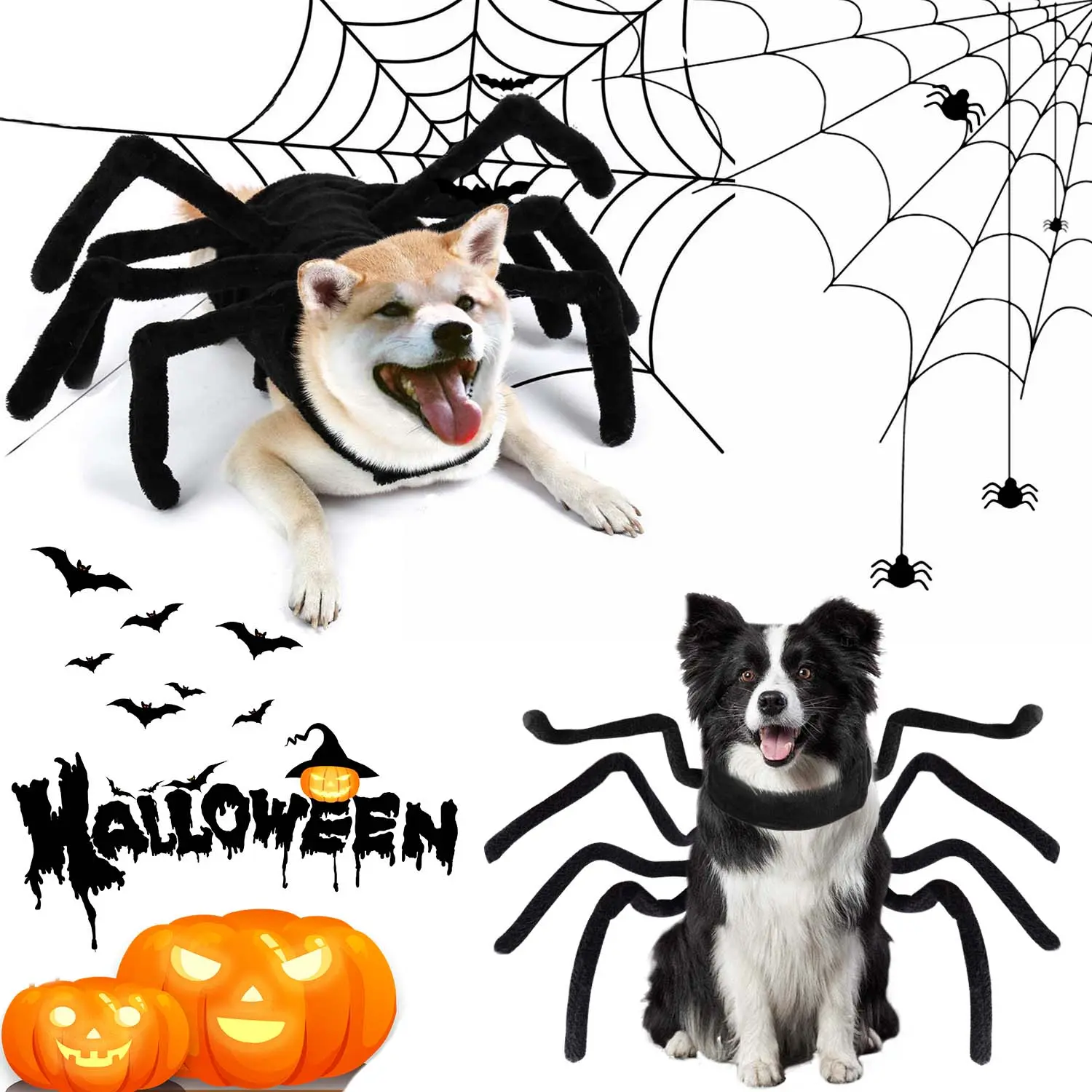 Halloween Spider Pet Harness Costume, Halloween Cat and Dog Costume / Halloween Decoration, Themed Party Supplies