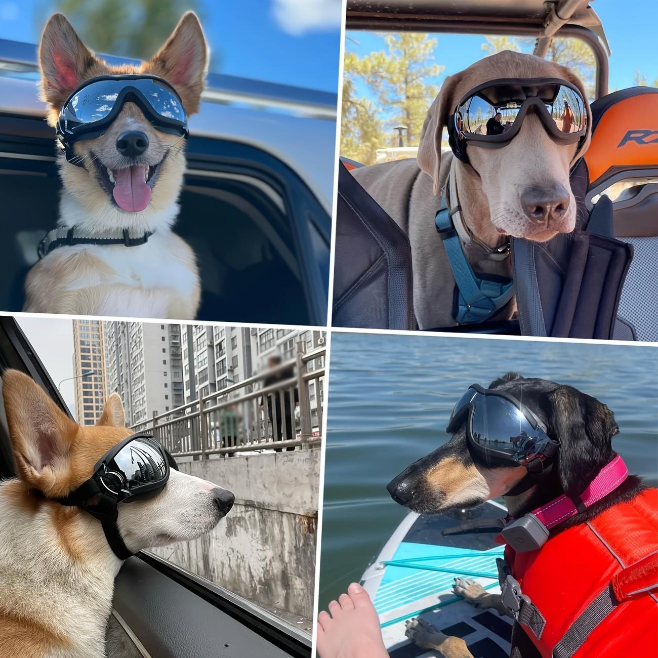 Adjustable Dog Goggles for Medium to Large Dogs, Outdoor Travel Eye Protection, Comfortable Pet Eyewear for Safe Adventures