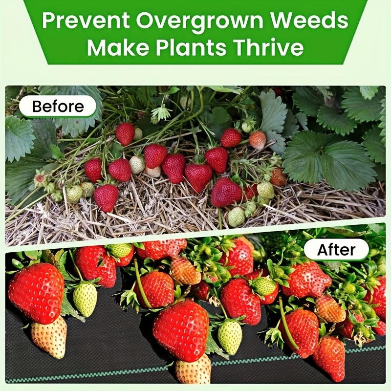 Gardening Weed Control Fabric, High Permeability Easy Installation, Ideal for Flower Beds, Vegetable Gardens, Fruit Trees