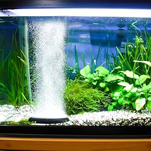 hygger Aquarium Air Stone, Bubble Stone Fish Tank Oxygen Stone Ultra Silent Deep Dissolving Oxygen Diffuser Kit for Aquarium Fish Tank and Hydroponic hygger Aquarium Air Stone, Bubble Stone Fish Tank Oxygen Stone Ultra Silent Deep Dissolving Oxygen Diffuser Kit for Aquarium Fish Tank and Hydroponic