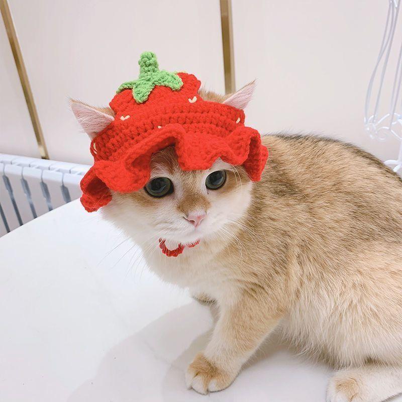 Cute Pet Hat for Cats and Dogs, Adorable Cat Hat, Fun Dog Hat, Perfect Accessory for Your Furry Friend, Stylish and Comfortable Clothing