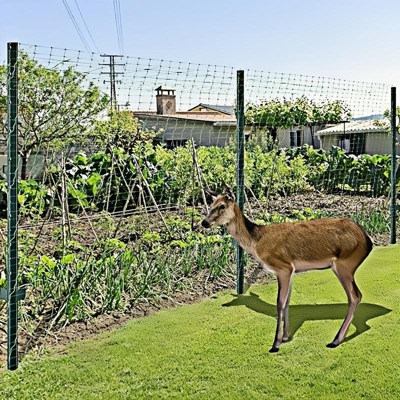 Garden Plant Protection Net, Bird and Animal Barrier, Fruit Trees, Vegetables, Flowers, Vine Climbing, Poultry Fence, Fish Pond Guard