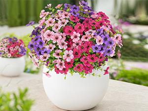 Elyum UV-Resistant Decorative Artificial Rose Red Flowers, 9 Bundles Faux Outdoor Plants for Porch Window Box Decoration