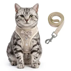 2 Pcs Harness and Leash Set for Small Dogs and Cats, Comfortable Activity Support, Pet Chest and Back Design, Model Hb03